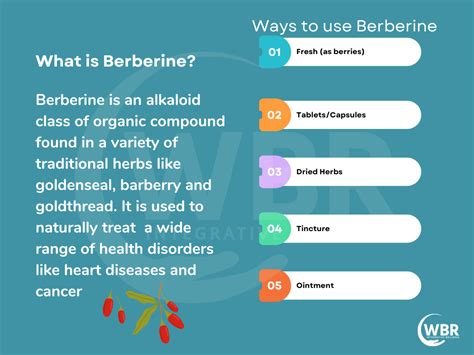 burberry vitamins|berberine side effects and warnings.